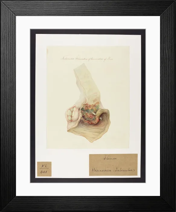 Framed Print : 13741811 Framed Print : 13741811