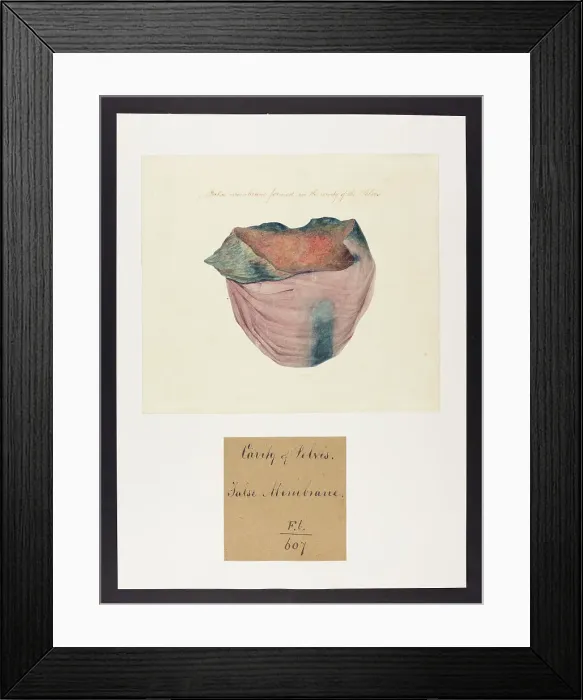 Framed Print : 13741816 Framed Print : 13741816