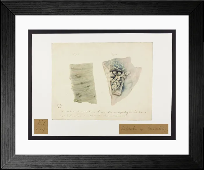 Framed Print : 13741817 Framed Print : 13741817