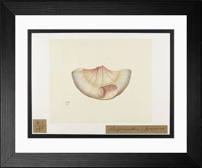 Framed Print : 13741820 Framed Print : 13741820