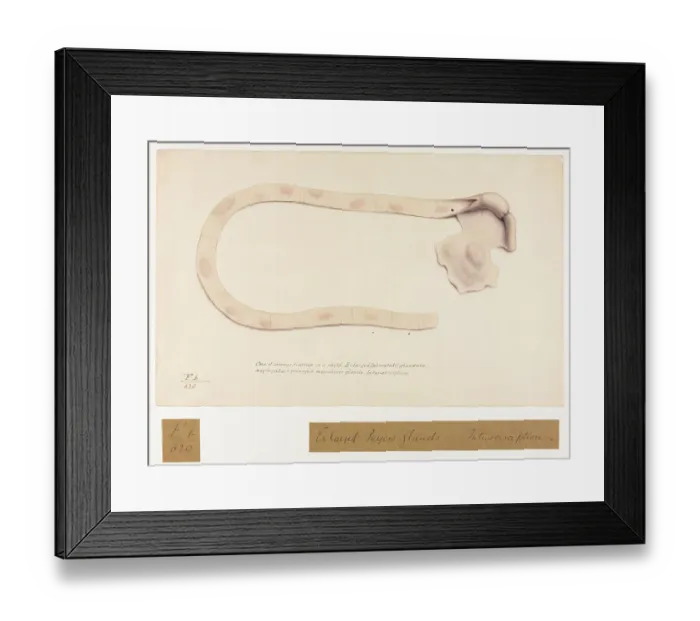 Framed Print : 13741818 Framed Print : 13741818