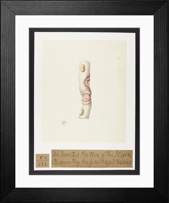 Framed Print : 13741825