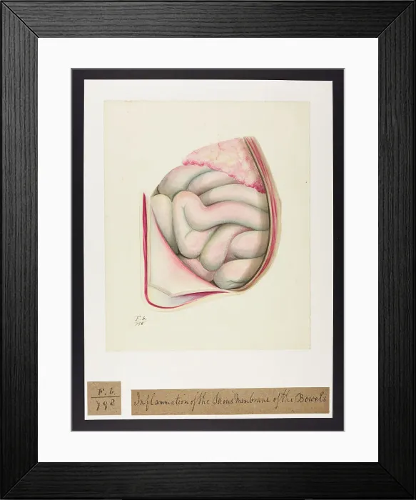 Framed Print : 13741826 Framed Print : 13741826
