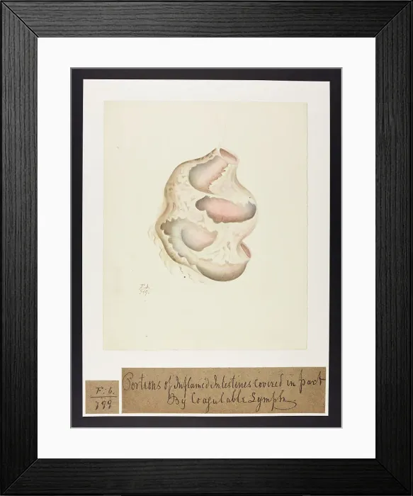 Framed Print : 13741827 Framed Print : 13741827