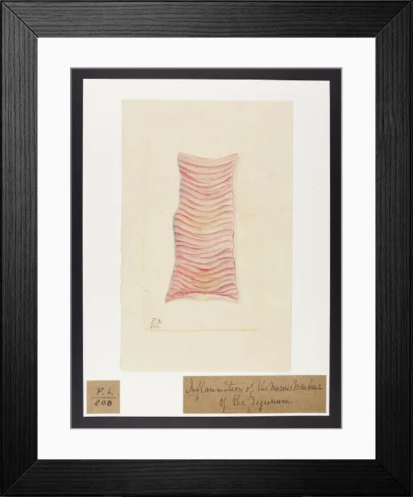 Framed Print : 13741828 Framed Print : 13741828