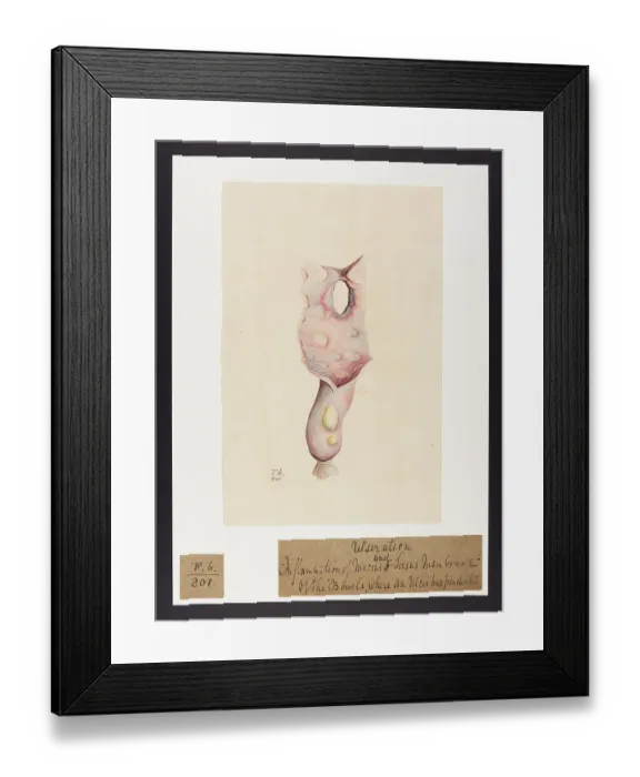 Framed Print : 13741829 Framed Print : 13741829