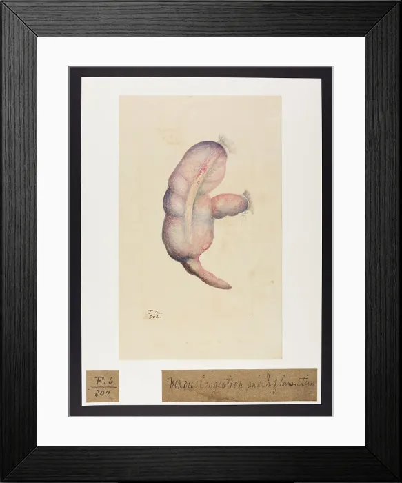Framed Print : 13741830 Framed Print : 13741830