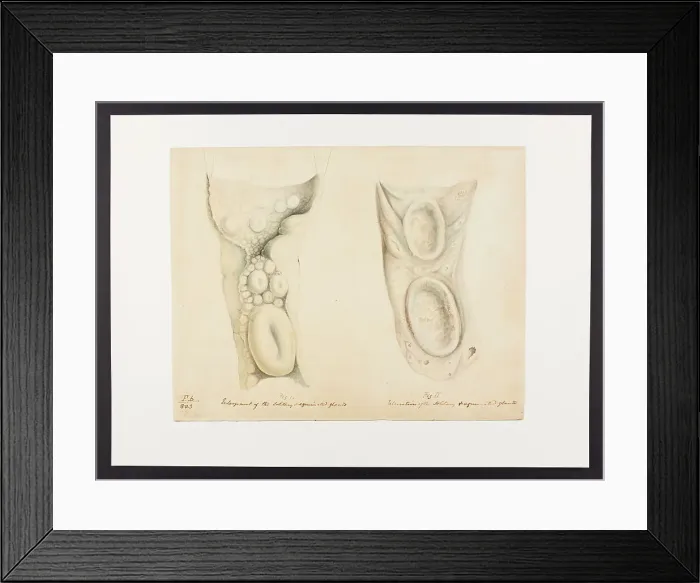Framed Print : 13741831 Framed Print : 13741831