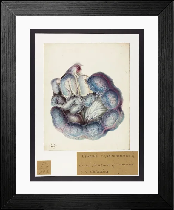 Framed Print : 13741832 Framed Print : 13741832