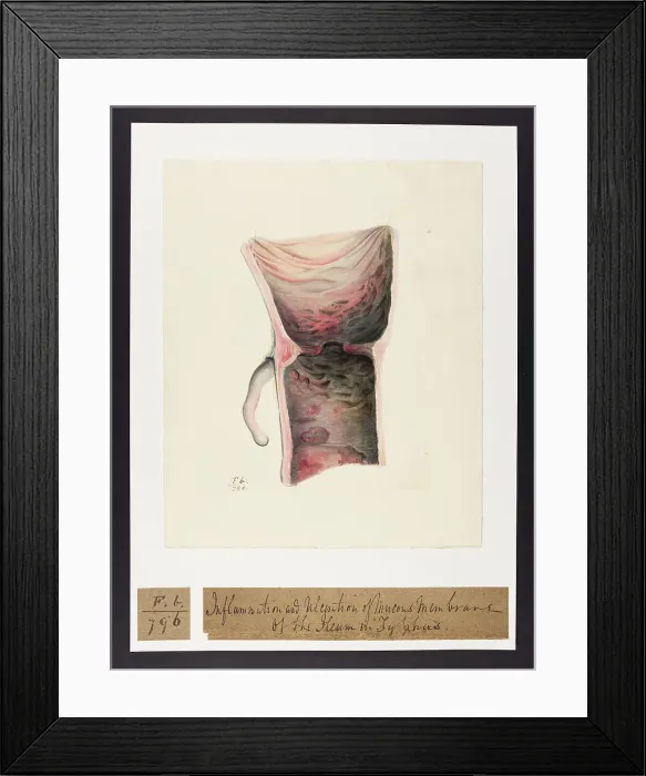 Framed Print : 13741824 Framed Print : 13741824