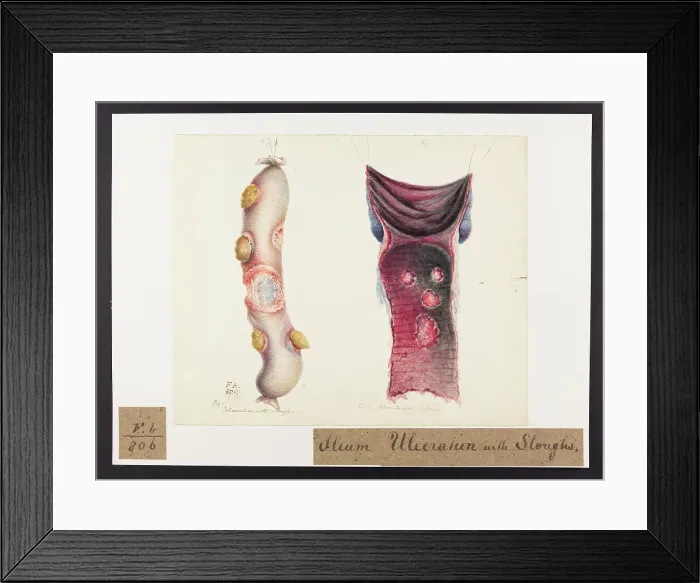 Framed Print : 13741834 Framed Print : 13741834