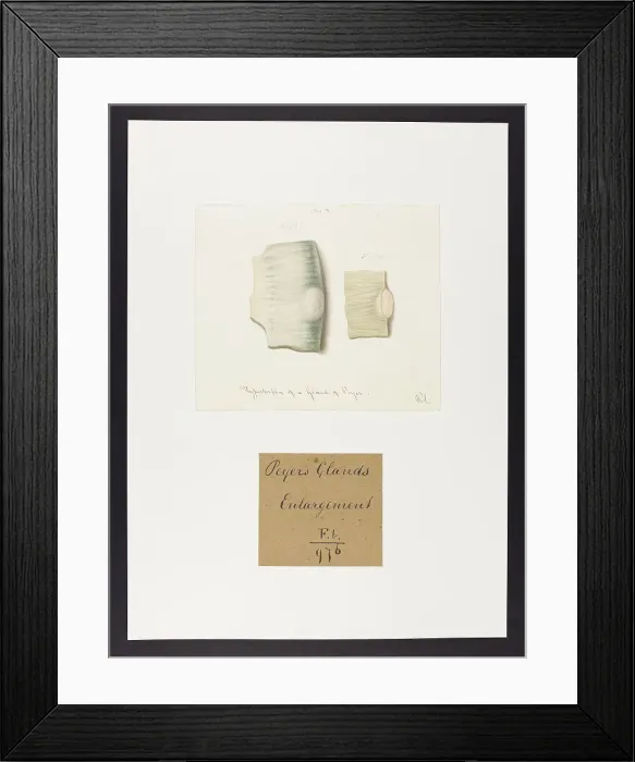 Framed Print : 13741840 Framed Print : 13741840