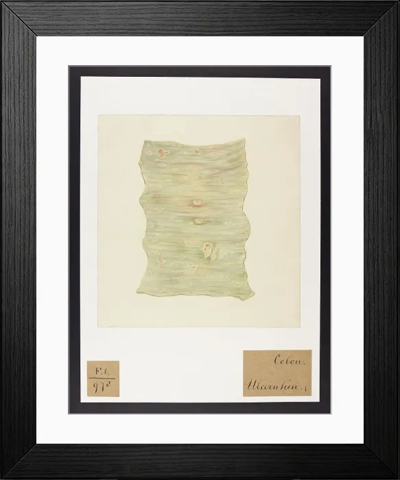 Framed Print : 13741842 Framed Print : 13741842
