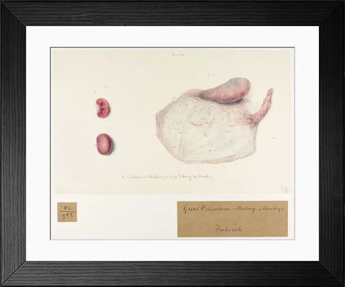 Framed Print : 13741845 Framed Print : 13741845