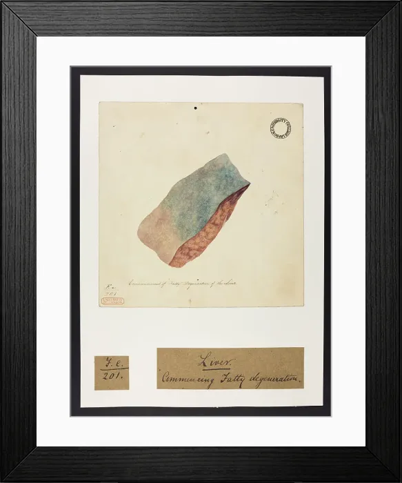 Framed Print : 13741851 Framed Print : 13741851