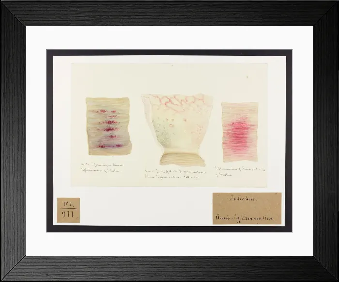 Framed Print : 13741841 Framed Print : 13741841
