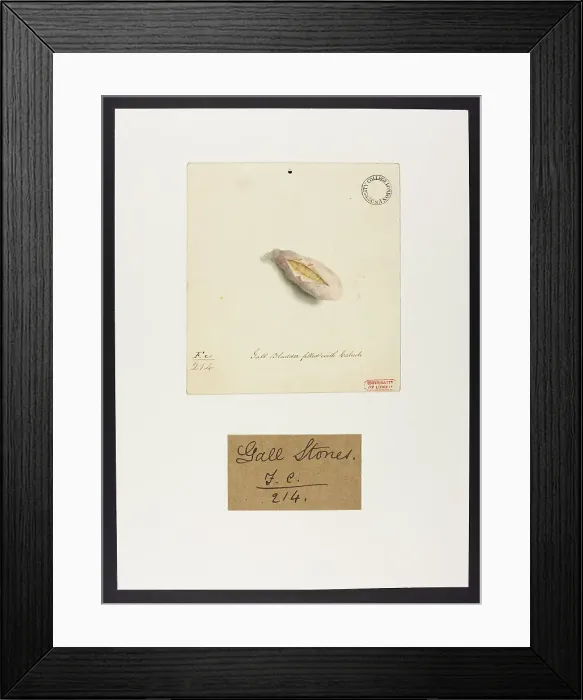 Framed Print : 13741860 Framed Print : 13741860