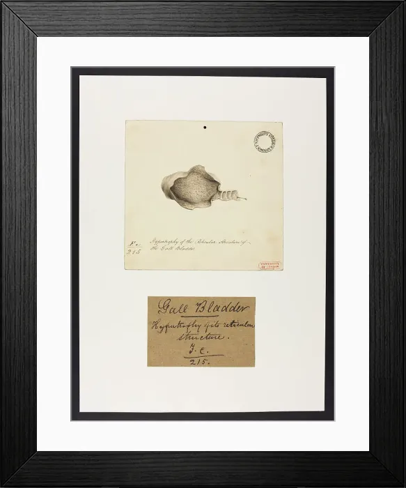 Framed Print : 13741861 Framed Print : 13741861