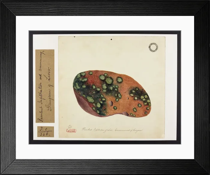Framed Print : 13741872 Framed Print : 13741872