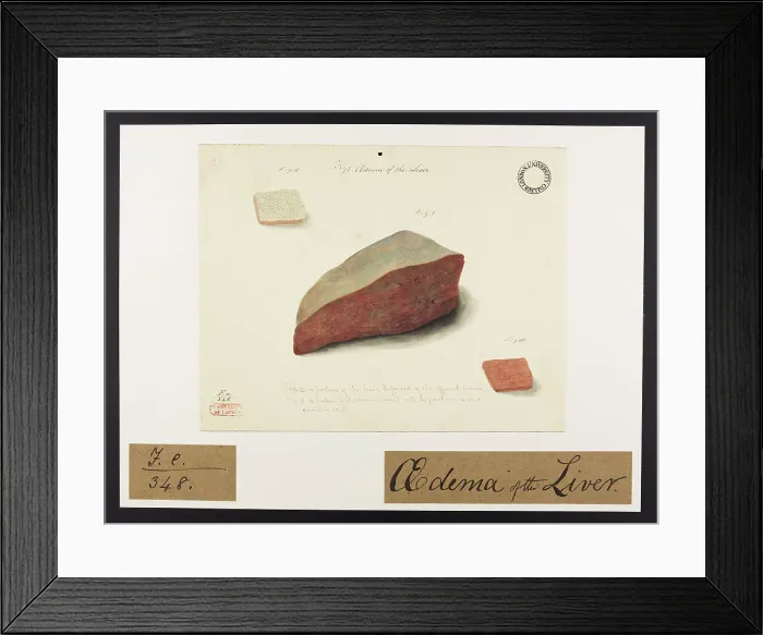Framed Print : 13741874 Framed Print : 13741874
