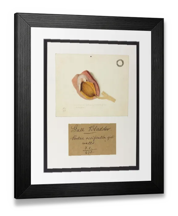 Framed Print : 13741879 Framed Print : 13741879