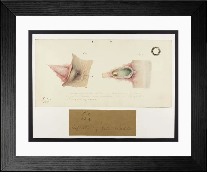 Framed Print : 13741880 Framed Print : 13741880