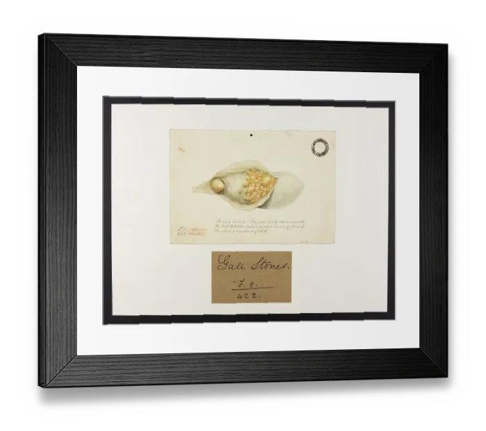 Framed Print : 13741878 Framed Print : 13741878