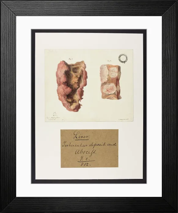 Framed Print : 13741886 Framed Print : 13741886