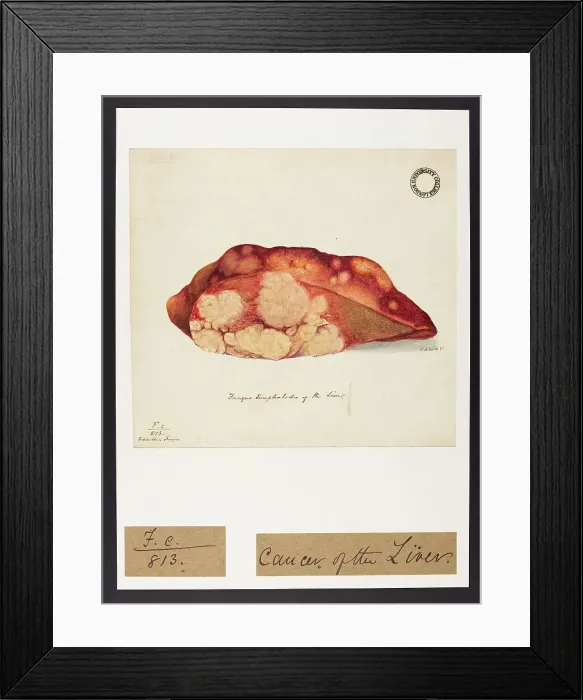 Framed Print : 13741887 Framed Print : 13741887