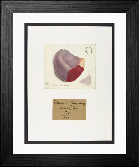 Framed Print : 13741884 Framed Print : 13741884
