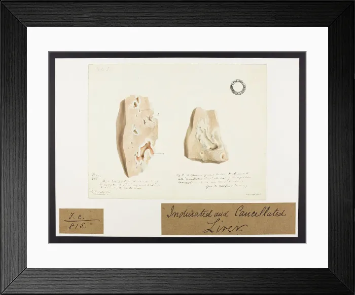 Framed Print : 13741889 Framed Print : 13741889