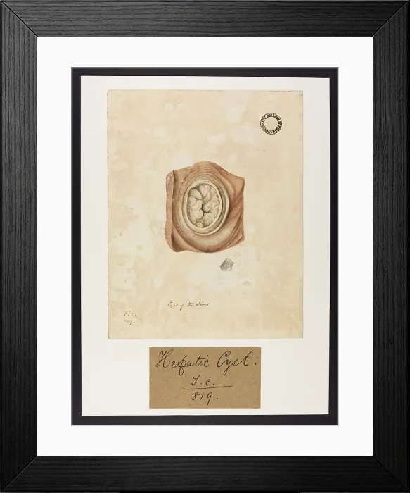 Framed Print : 13741893 Framed Print : 13741893