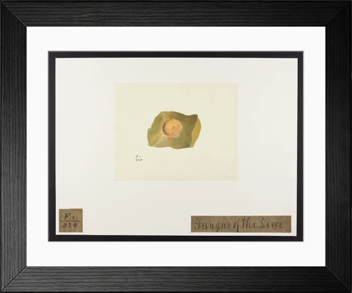 Framed Print : 13741894 Framed Print : 13741894