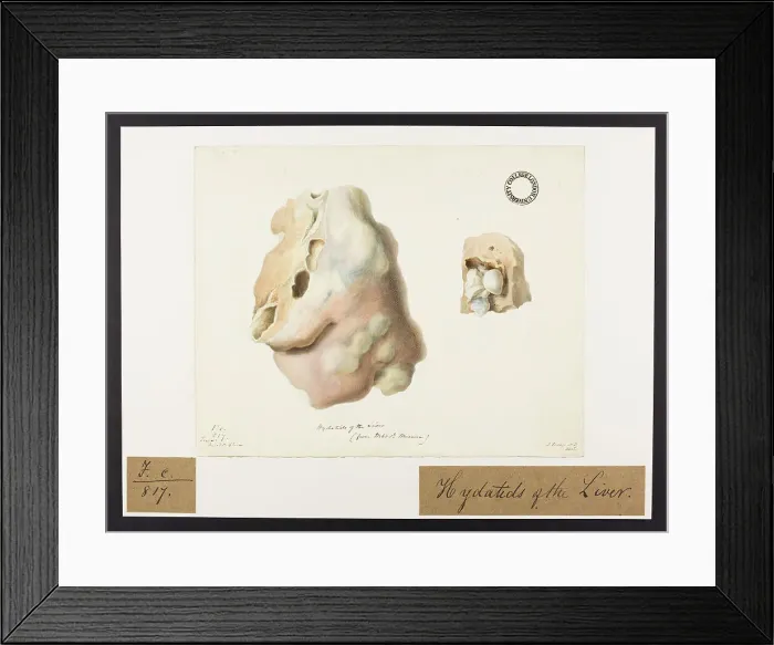 Framed Print : 13741891 Framed Print : 13741891