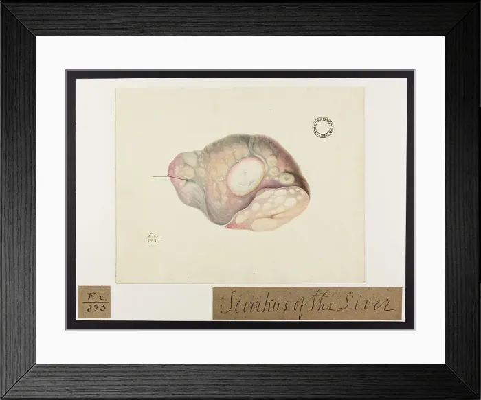Framed Print : 13741897 Framed Print : 13741897