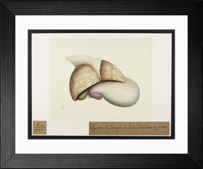 Framed Print : 13741896 Framed Print : 13741896