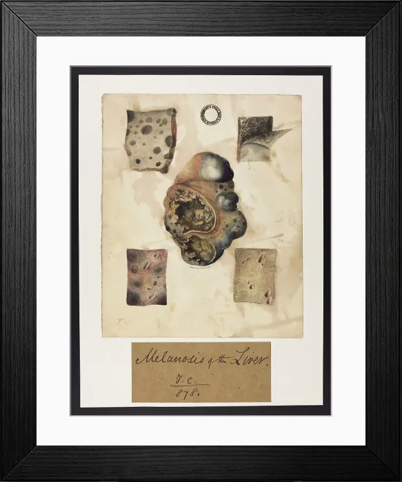 Framed Print : 13741902 Framed Print : 13741902