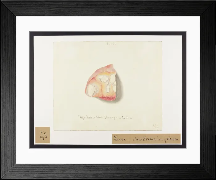 Framed Print : 13741904 Framed Print : 13741904