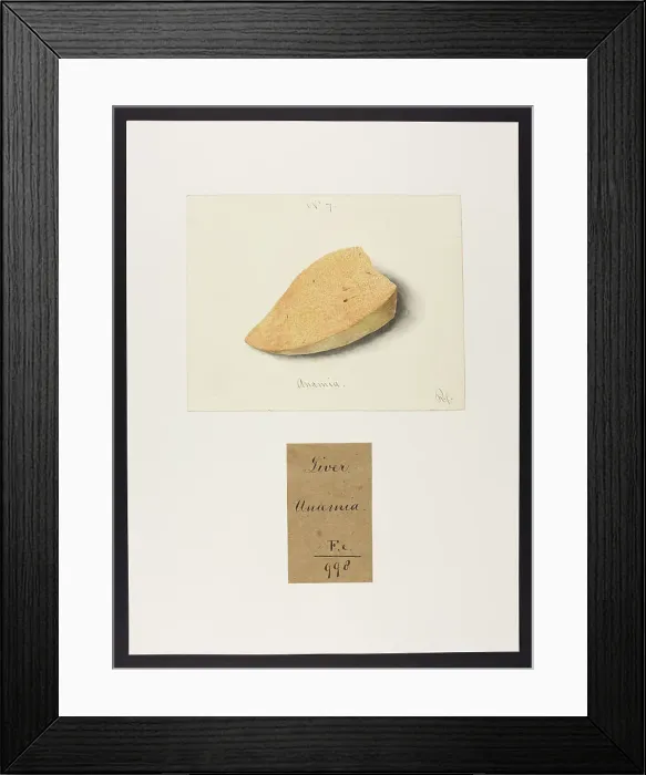 Framed Print : 13741909 Framed Print : 13741909