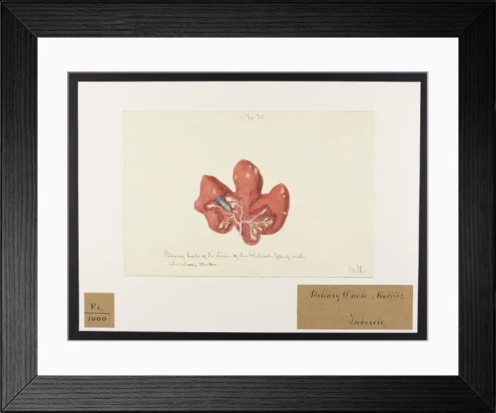Framed Print : 13741911 Framed Print : 13741911