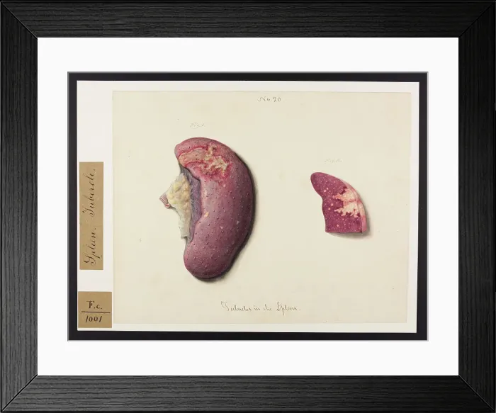 Framed Print : 13741912 Framed Print : 13741912