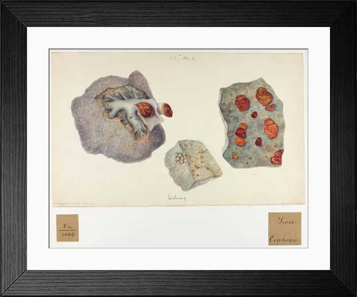 Framed Print : 13741913 Framed Print : 13741913