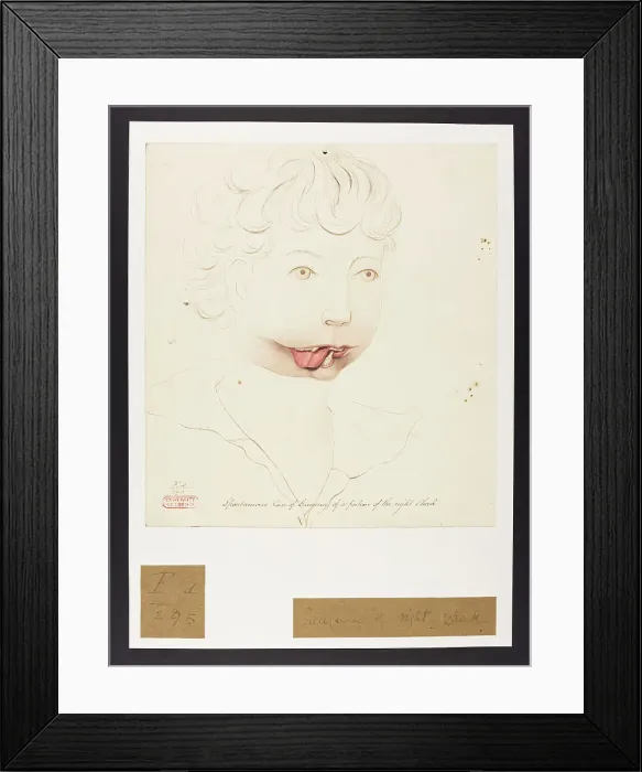 Framed Print : 13741919 Framed Print : 13741919