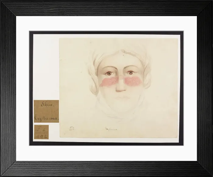 Framed Print : 13741924 Framed Print : 13741924