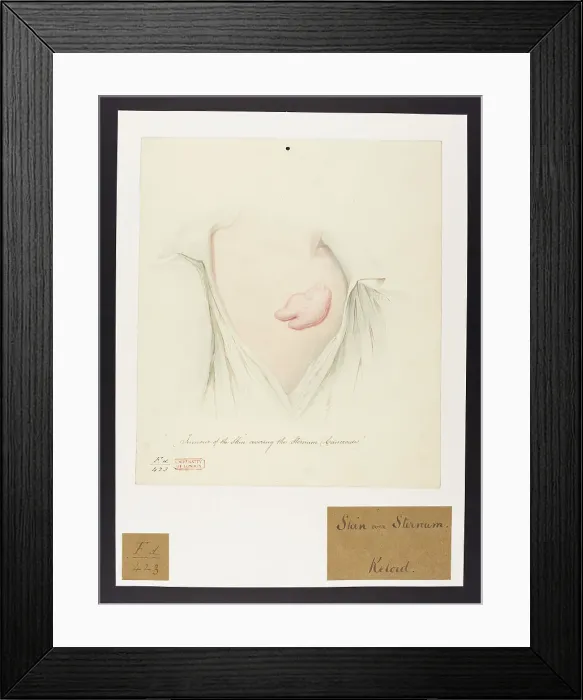 Framed Print : 13741922 Framed Print : 13741922