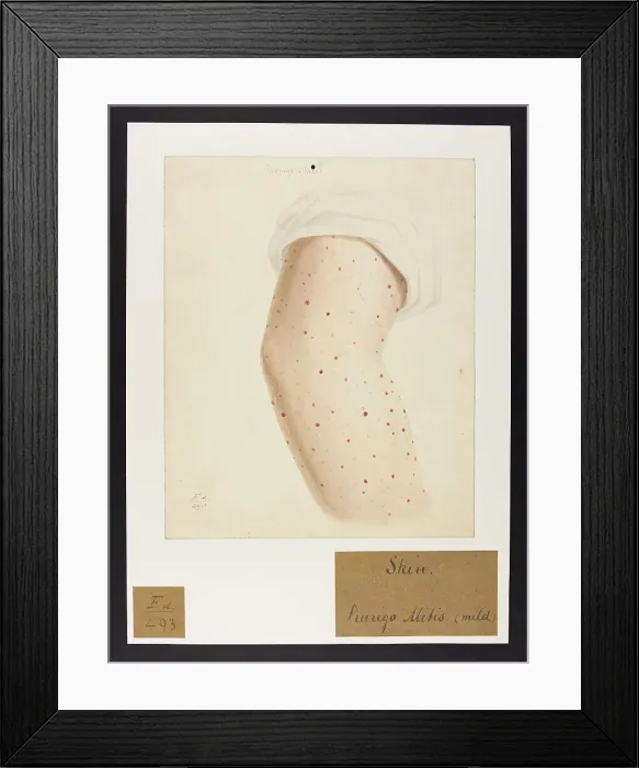 Framed Print : 13741925 Framed Print : 13741925