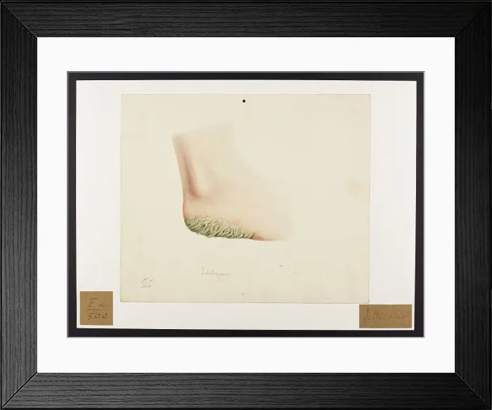 Framed Print : 13741928 Framed Print : 13741928