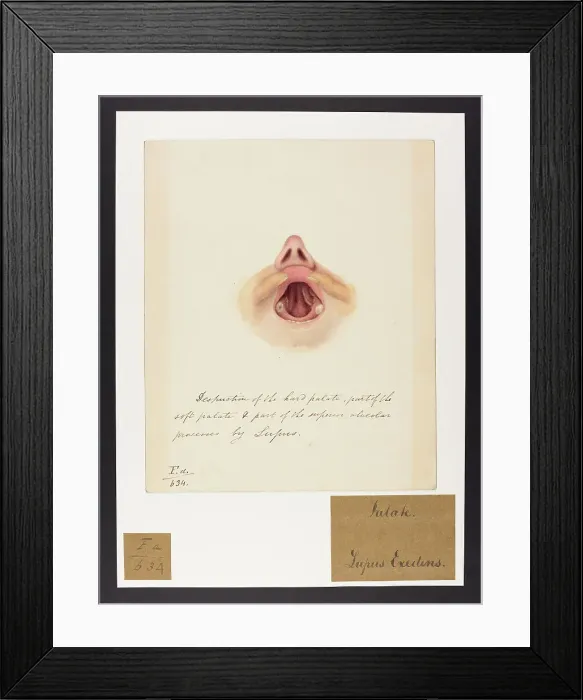 Framed Print : 13741929 Framed Print : 13741929
