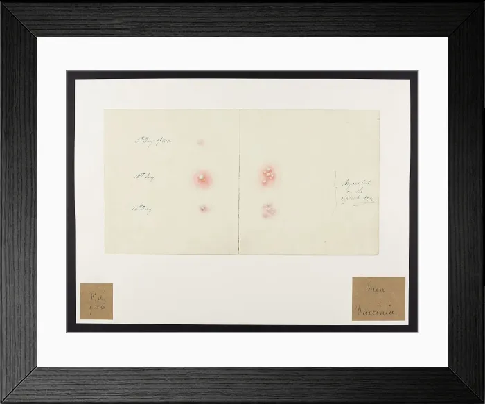 Framed Print : 13741935 Framed Print : 13741935