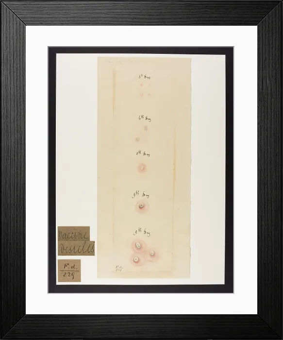 Framed Print : 13741933 Framed Print : 13741933
